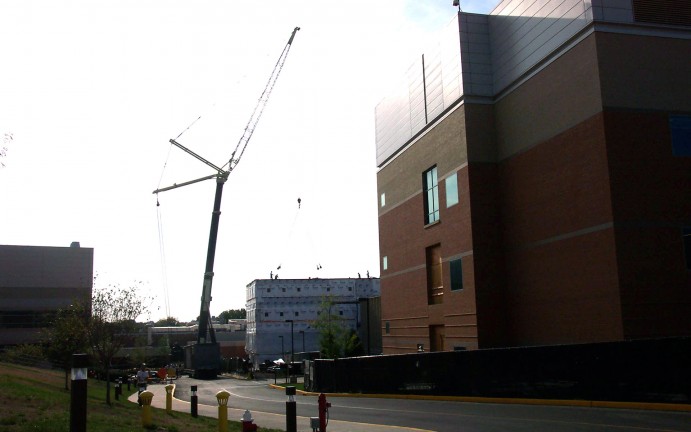 Crane from a distance